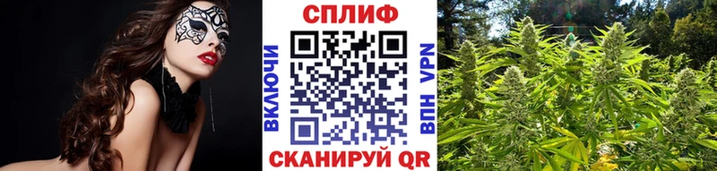 Бошки Шишки семена Ковдор